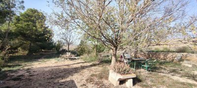 23479-country-house-for-sale-in-pinoso-135447