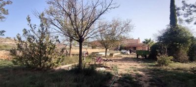 23479-country-house-for-sale-in-pinoso-135447