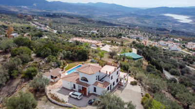 1101-villa-for-sale-in-periana-32321-large