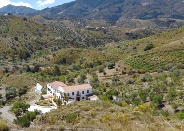 1164-villa-for-sale-in-canillas-de-aceituno-3