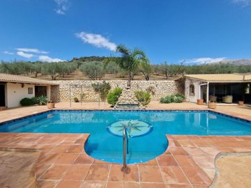 1226-villa-for-sale-in-periana-39515-large