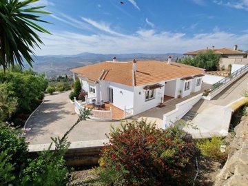 1232-villa-for-sale-in-periana-39787-large