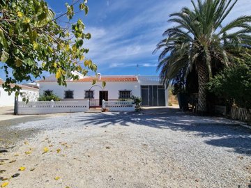 1312-villa-for-sale-in-alcaucin-44150-large