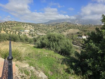 1327-land-for-sale-in-vinuela-44969-large