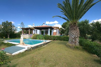 1322-villa-for-sale-in-periana-44836-large