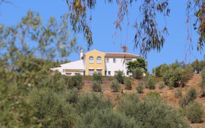 1100-villa-for-sale-in-vinuela-32270-large