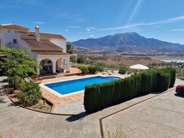 1100-villa-for-sale-in-vinuela-37895-large