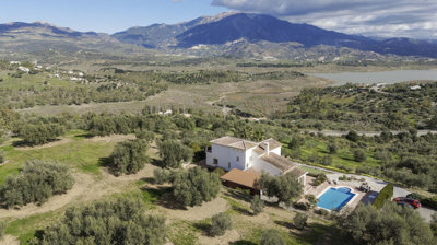 1100-villa-for-sale-in-vinuela-45595-large