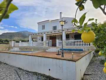 1335-villa-for-sale-in-alcaucin-45428-large