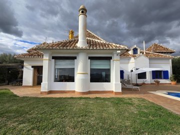 1338-villa-for-sale-in-periana-45690-large