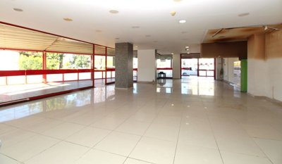 Interior 4