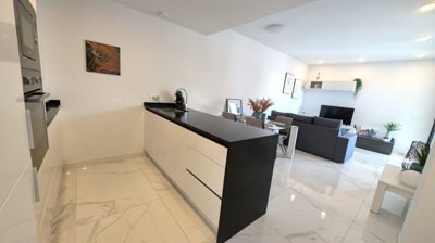 61251luxury-penthouse-villamartinlosaltos4