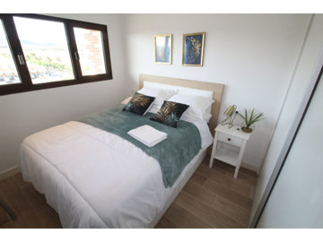 8309threebedroomseaviewapartmentinplayaparais