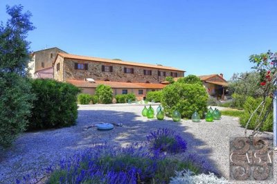 farmhousr-for-sale-near-suvereto-2