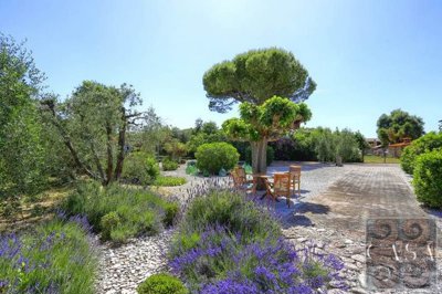 farmhousr-for-sale-near-suvereto-17