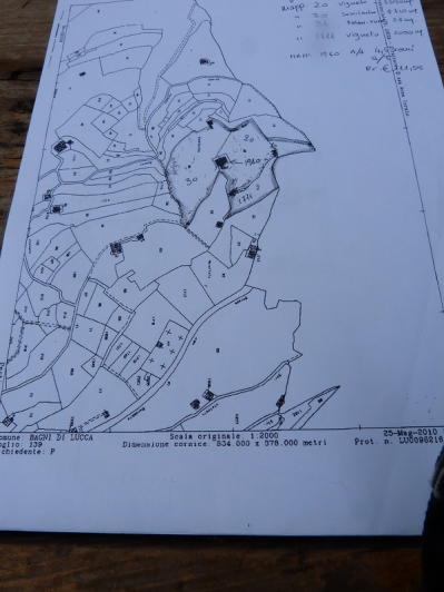 Image No.1-floorplan-1