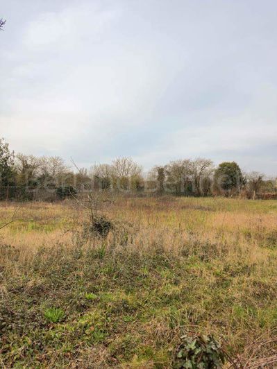 Image No.1-Land for sale