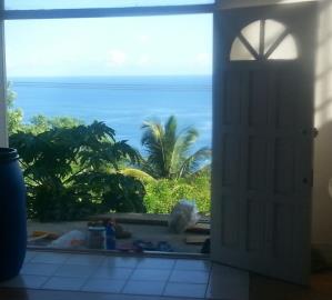 double-kitchen-door-sea-view--2-