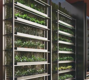 Urban-Farming-min