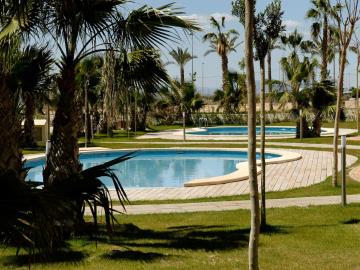 olivos-Shared-Pool-Area-3