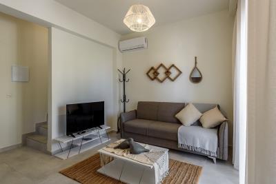 Villa-for-sale-in-Nopigia-living-room-4-2