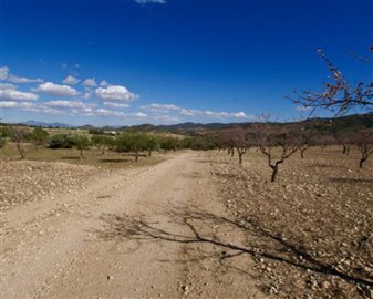 1 - Condado de Alhama, Plot