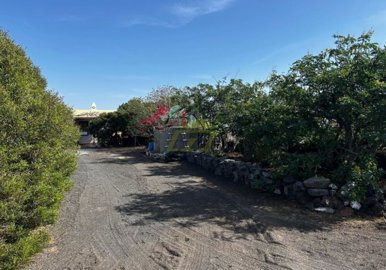 Rustic finca with beautiful views in San Bartolomé