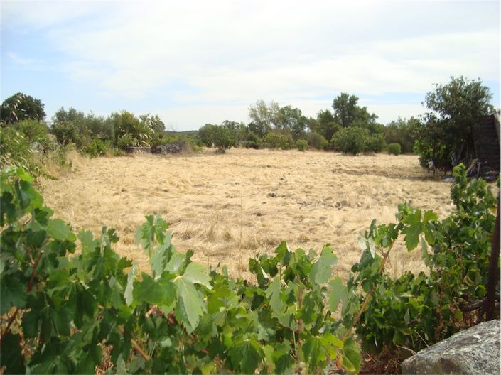 Image No.1-Propriété à vendre à Castelo Branco