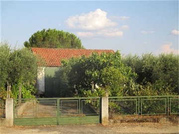 1 - Castelo Branco, Property