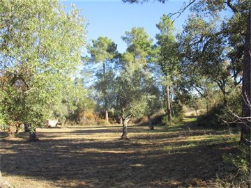 1 - Castelo Branco, Property