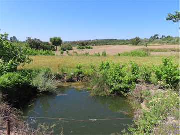 1 - Castelo Branco, Propriété