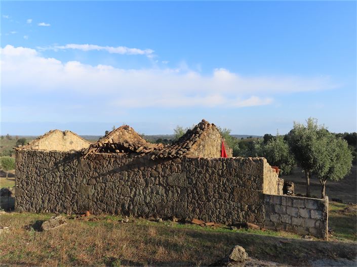 Image No.1-Propriété à vendre à Castelo Branco