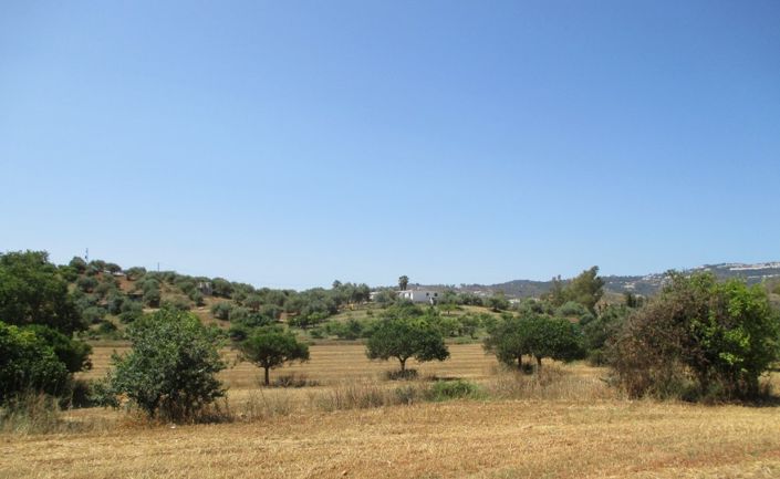 Image No.1-Finca de 7 chambres à vendre à Mijas