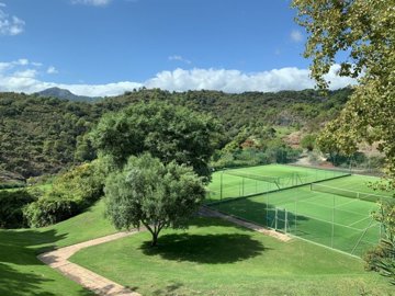 tennis court