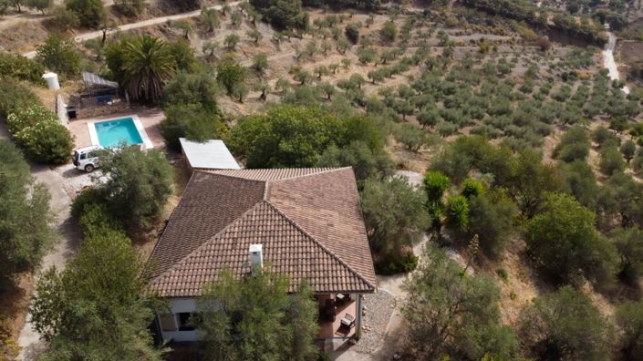 Image No.1-3 Bed Finca for sale