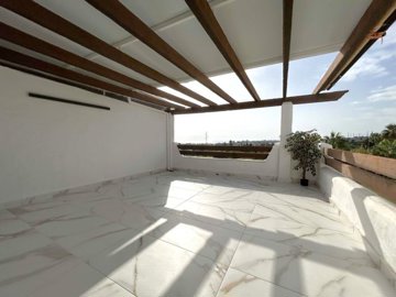 Terrace (2)