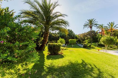 Landscaped garden