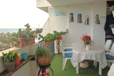 Terrace (2)