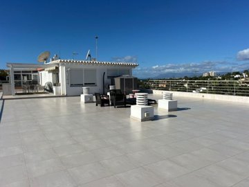 Terrace (4)