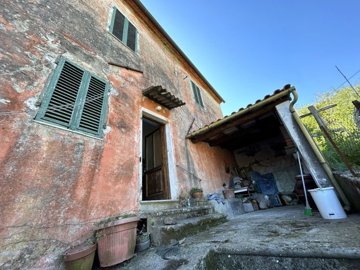 1 - Lucca, Property