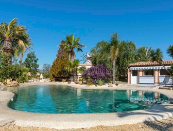 1347-finca-los-olivos-pool-5