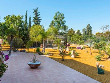 1347-finca-los-olivos-outside-18