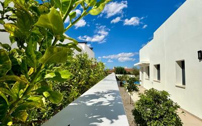 Benijofar-Villas--5-