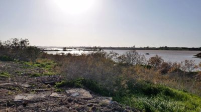 view-of-the-lake-from-the-plot