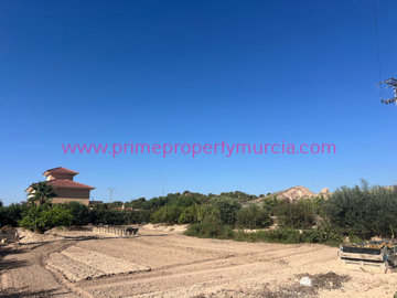 910-country-house-for-sale-in-totana-17833-la