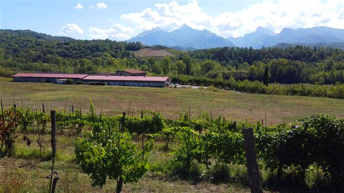 Image No.1-Maison de campagne de 15 chambres à vendre à Fivizzano