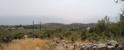 1 - Kardamyli, Terrain