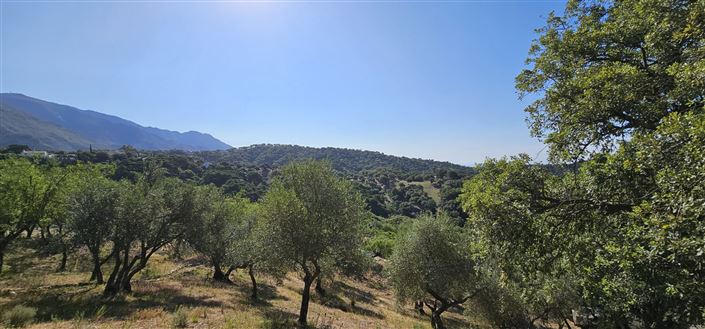 Image No.1-Terrain à vendre à Casares