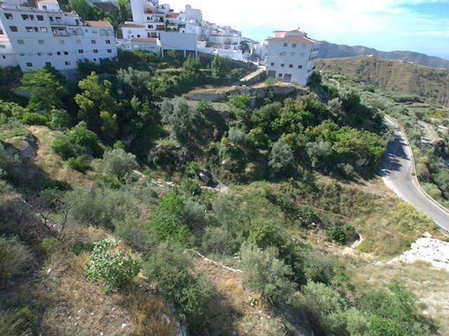 Image No.1-Terre à vendre à Canillas de Aceituno