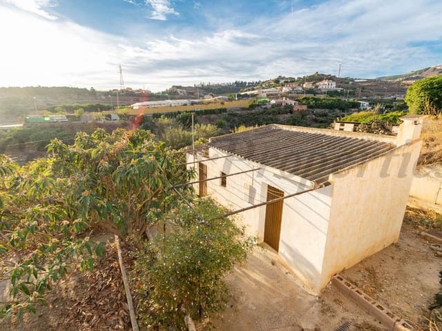 Image No.1-Finca de 1 chambre à vendre à Torrox